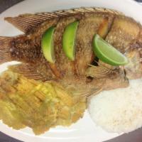 Mojarra Frita Entera Lunch Portion  · Whole fried tilapia. Fried whole fresh tilapia, white rice and fried plantains. arroz y tost...