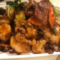 H8. Four Seasons · Fresh jumbo shrimp, roast pork, chicken and beef with mixed vegetables in brown sauce. With ...