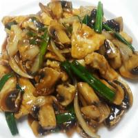 16. Mushroom · Mushroom, onion stir- fried in brown sauce. Served with fried rice.