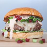 Chipotle Turkey Burger · All-natural ground turkey, jalapeno Jack, lettuce blend, dried cranberries, scallions and ch...