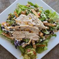 Chicken Southwest Salad · Spring mix, crispy tortilla strips, guacamole, roasted corn, tomatoes, and chipotle ranch dr...