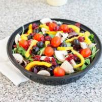 Spring Mix Salad · Mixed spring greens with dried cranberries, yellow bell peppers, mushrooms, olives, and cher...