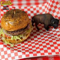 1/3 lb. Bison Burger · All burgers come with mayo, mustard, lettuce, tomato, onion, and pickle