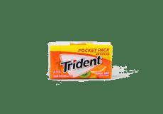 Trident 28 Stk Pocket Pack Trop Twist · 