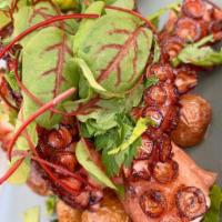 Charred Octopus  · Charred Spanish Octopus,fingeling potatoes, romesco sauce.