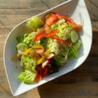 Fresh Vegetarian Salad · Lettuce, tomato, cucumber, bell pepper, radishes, red onions, and fresh herbs, dressing on t...