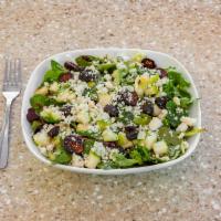 CHAR House Salad · Gorgonzola, apple, dried fig, spring mix, balsamic vinaigrette.