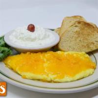 Cheese Omelette · Topped with your choice of American, Jack, cheddar or Swiss cheese.