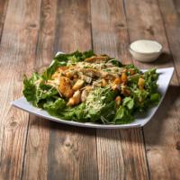 Chicken Caesar Salad · Grilled chicken breast and romaine lettuce tossed in Caesar dressing. Topped with grated Par...
