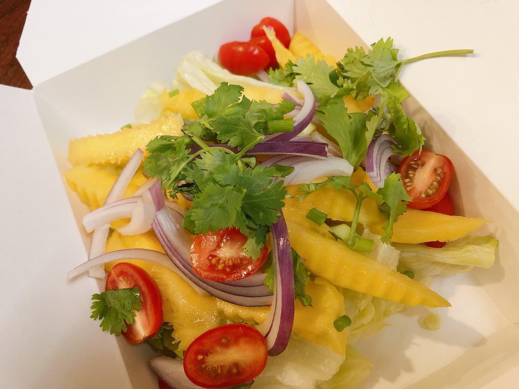 Mango Salad · Sweet and sour mango with red onion, green onion, cilantro, tomatoes in lime juice dressing.