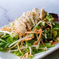 Thai Chicken Salad · Chicken, lettuce, carrots, scallions, sesame seeds, fresh cilantro, bean sprouts, peanuts an...