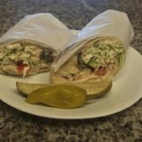 Mediterranean Falafel Wrap · Hummus, eggplant, tzatziki sauce, pickle, red onion, and cabbage.