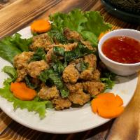 A7. Popcorn Chicken · Deep fried chicken with scallions, garlic, and house sauce.