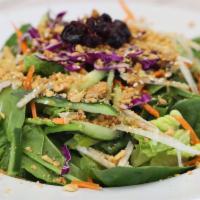 Rainbow Salad · Iceberg lettuce, carrots, red cabbage, cucumbers, jicama, crunchy noodles, and peanuts with ...