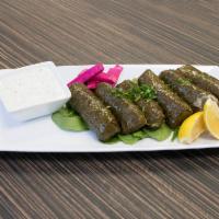 Vegitarian Grape Leaves · Grape leaves stuffed with a mixture of parsley, rice and tomato. Served with homemade yogurt...