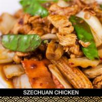 H11. Szechuan Chicken · Sliced chicken with Chinese vegetables in chili sauce. Hot and spicy.