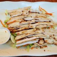 H13. Chicken Breast Salad Special · A fresh and filling salad served with chicken breast and our homemade salad dressing.