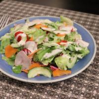 Boston Bibb Salad Dinner · Radicchio, tomato, cucumber, carrot celery, radish and buttermilk dressing.