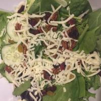 Judie's Berry Salad · Baby spinach and spring mix with dried berries, candied pecans, cucumbers and mozzarella che...