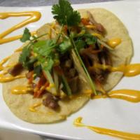 Vietnamese Tacos · 2 pieces. Corn tortilla, pickled carrots, cilantro, jalapenos, and cucumber. Finished with s...
