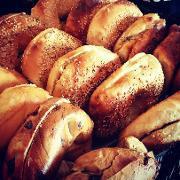 Bagel with 1 Topping · Boiled and baked round bread roll.