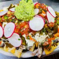 Nachos · Cheddar, pico de gallo, beans, pickled jalapenos, radishes,queso  fresco ,sour cream and gua...