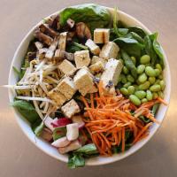 Asian Salad · Romaine and spinach with grilled tofu, chow mein noodles, radishes, edamame, carrots, mushro...