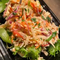 Latin Slaw · napa cabbage / cabbage / red onions / cilantro / jicama / red peppers / carrots / cole slaw ...