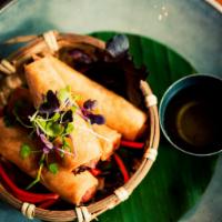 Spring Roll · Fried vegetable spring rolls with plum sauce