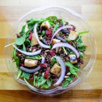 Harvest Salad · Organic greens, beets, quinoa, cranberries, charred apple, red onion, sunflower seeds, balsa...