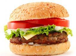 Hamburger · Grilled or fried patty on a bun. 