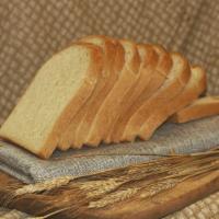 Toast Bread · intolerant, this loaf is made with no dairy