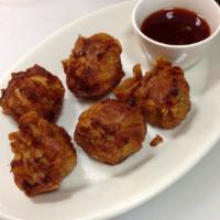 Golden Fritters · Crispy chicken and shrimp dumplings with sweet chili sauce.