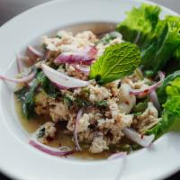 Y8. Larb Chicken Salad · Spicy Thai chicken salad. Minced chicken salad, red onions, mint, scallions, cilantro, groun...