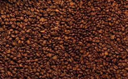 12 oz. RIQUEZA DARK BLEND · Baking Spices, Cocoa, Caramel

