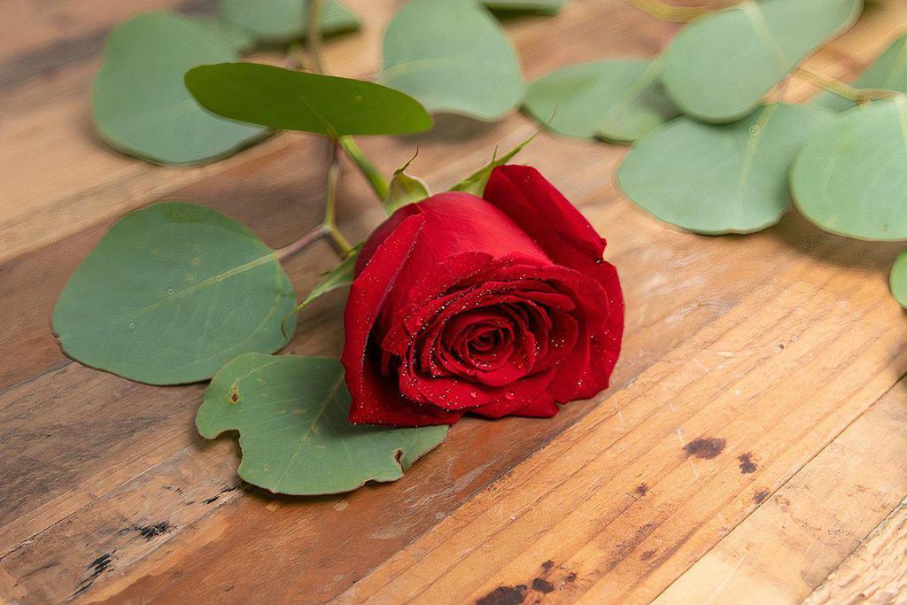 Roses · Seasonal options may vary throughout the year and depending on location. Our florist will provide the best available flowers for your order!