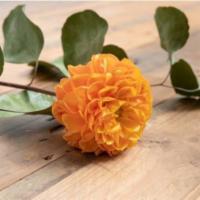 Dahlia Stem · Seasonal options may vary throughout the year and depending on location. Our florist will pr...
