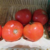 Tomato · One Fresh Tomato