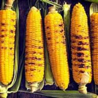 Grilled Corn · Grilled corn with butter.