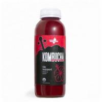 Life Support™ Kombucha · Raw kombucha, ginger, hibiscus

14 oz · Live Probiotic Tea
