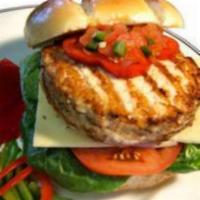 ORGANIC SEASONED TURKEY BURGER · Beautifully crafted, Organic, Turkey Burger Served In an Brioche Bun, With Fried Onions, Fre...