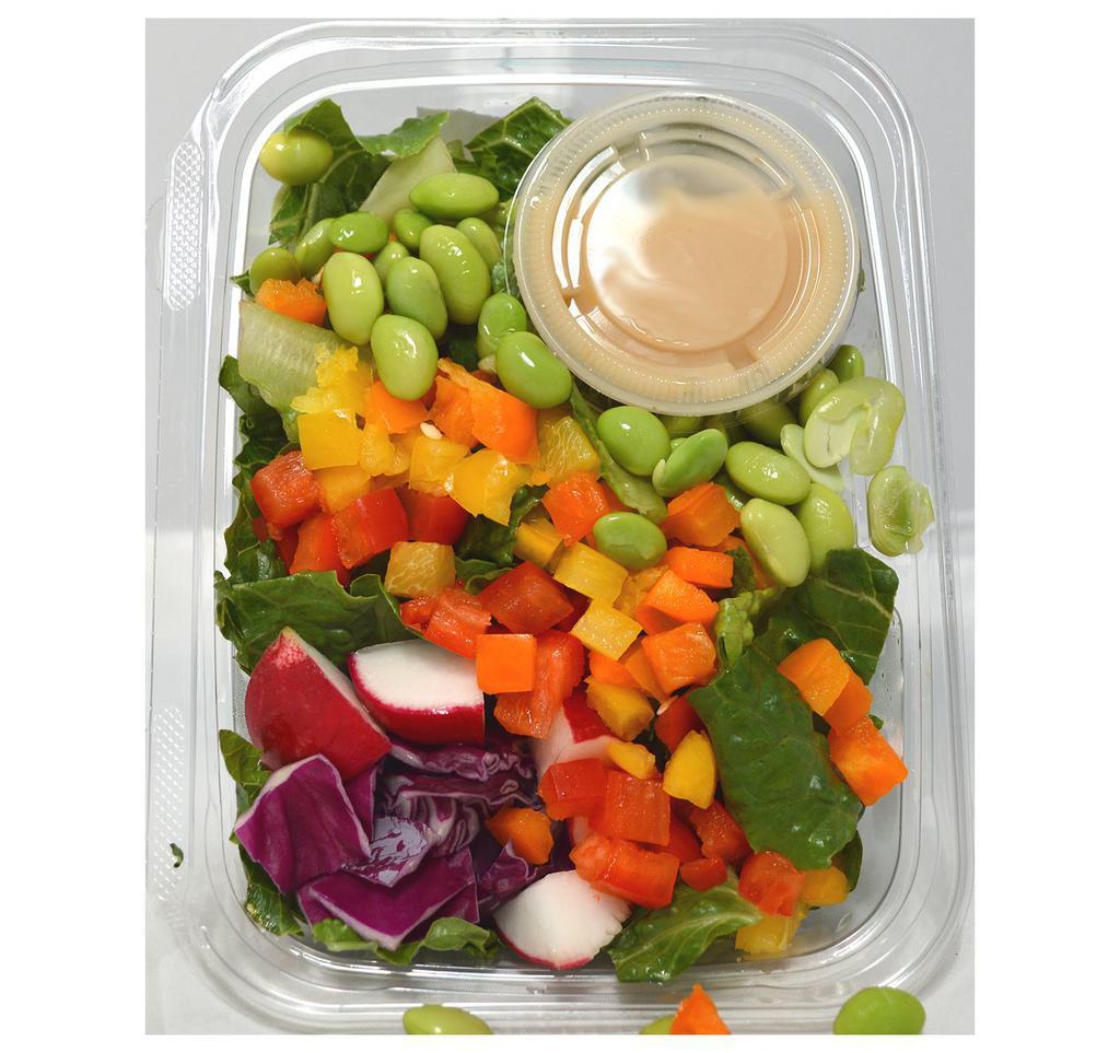 Rainbow Salad · Organic Romaine, Red Cabbage, Carrots, Organic Red, Yellow, and Orange Peppers, Organic Grape Tomato, Cucumbers, Organic Edamame, Radish, with Honey Ginger Dressing