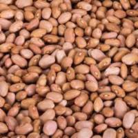 Brown Beans  · 4 lb. 