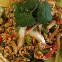 Yam Nam Sod Salad · Ground chicken with green onions, fresh ginger, peanuts, cilantro, Thai chilies, and lime ju...