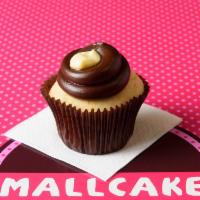 Boston Cream Pie Cupcake · Vanilla cake, bavarian cream filling with chocolate fudge frosting and a dollop of bavarian ...