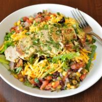 Santa Fe Salad · Mixed greens, grilled chicken, black bean corn salsa, bacon, cheddar, crostini, cilantro and...