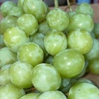 FRESH GREEN GRAPE SEEDLESS  A-GRADE QUALITY · PRODUCT OF CALIFORNIA,
