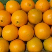 FRESH JUICY ORANGE (A-GRADE QUALITY) · SPECIAL FOR THE JUICE VERY JUICY AND SWEET 