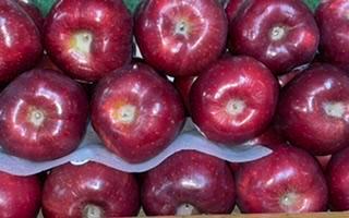 FRESH RED SDELICIOUS APPLES-1LB (3 APPLES)-A-GRADE QUALITY  · PRODUCT OF USA