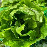 Romaine lettuce Single Bunch · Very very fresh
